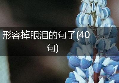 形容掉眼泪的句子(40句)