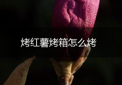 烤红薯烤箱怎么烤