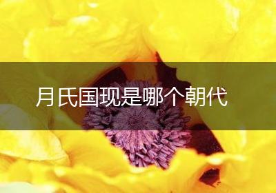 月氏国现是哪个朝代