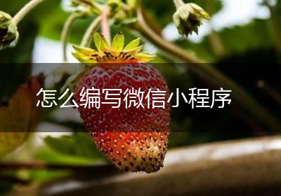 怎么编写微信小程序