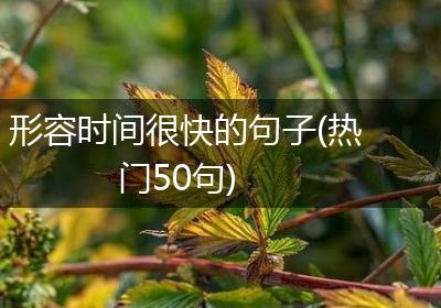 形容时间很快的句子(热门50句)