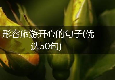 形容旅游开心的句子(优选50句)
