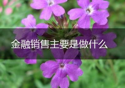 金融销售主要是做什么