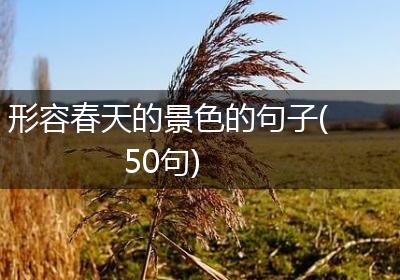 形容春天的景色的句子(50句)