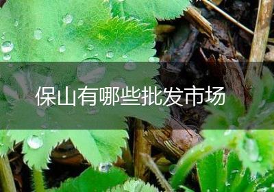 保山有哪些批发市场