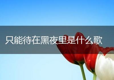 只能待在黑夜里是什么歌