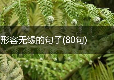 形容无缘的句子(80句)