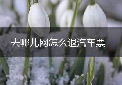去哪儿网怎么退汽车票