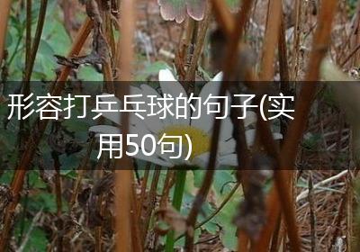 形容打乒乓球的句子(实用50句)