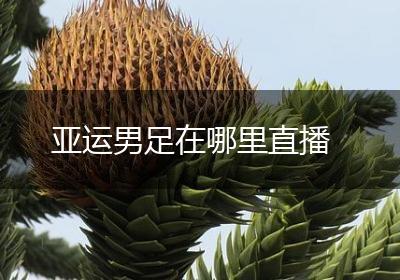 亚运男足在哪里直播