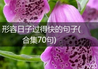 形容日子过得快的句子(合集70句)