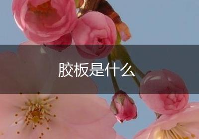 胶板是什么