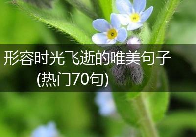 形容时光飞逝的唯美句子(热门70句)