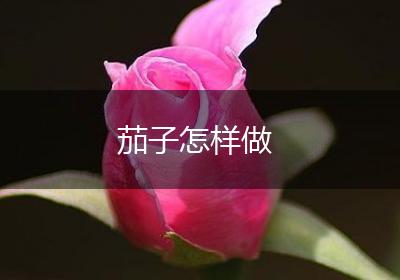 茄子怎样做