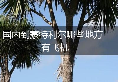 国内到蒙特利尔哪些地方有飞机