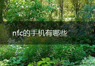nfc的手机有哪些