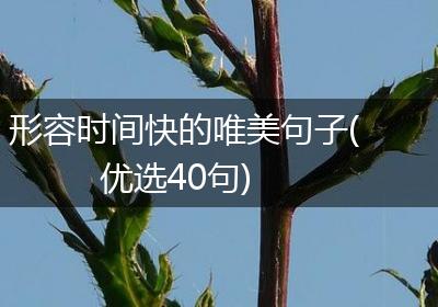 形容时间快的唯美句子(优选40句)