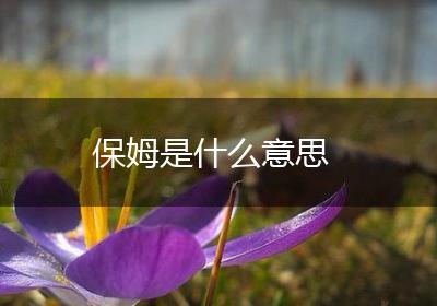 保姆是什么意思