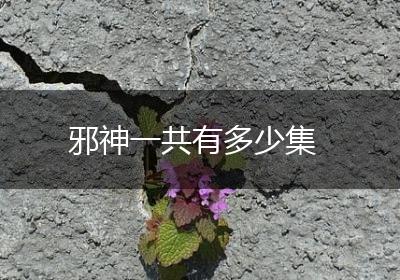 邪神一共有多少集