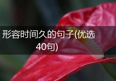 形容时间久的句子(优选40句)
