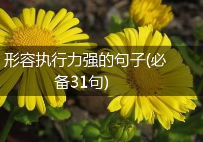 形容执行力强的句子(必备31句)