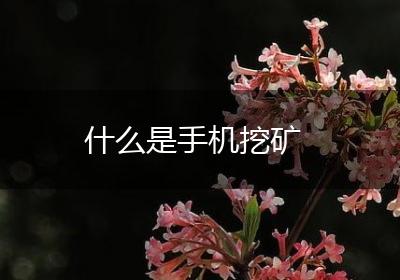 什么是手机挖矿