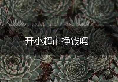 开小超市挣钱吗