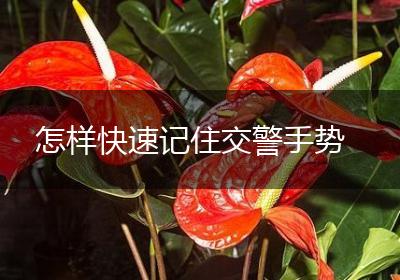 怎样快速记住交警手势