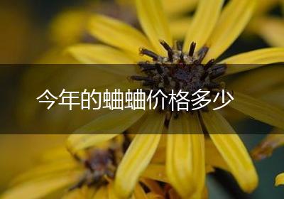 今年的蛐蛐价格多少
