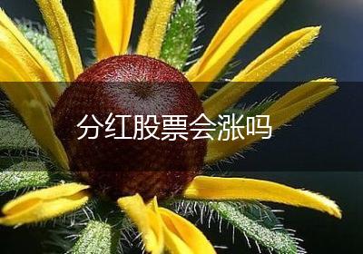 分红股票会涨吗