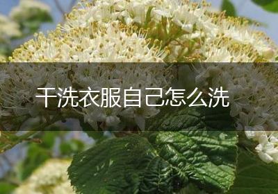 干洗衣服自己怎么洗