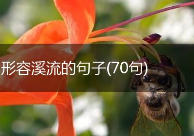 形容溪流的句子(70句)