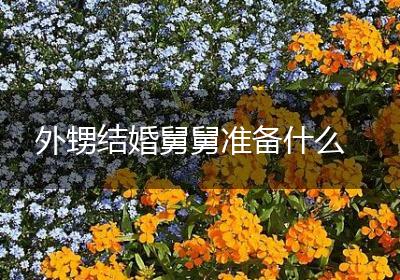 外甥结婚舅舅准备什么