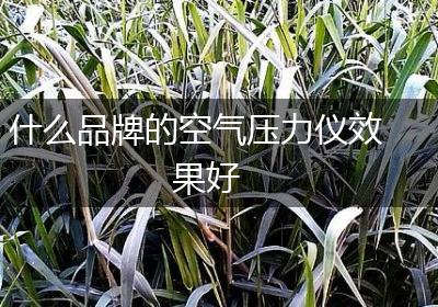 什么品牌的空气压力仪效果好
