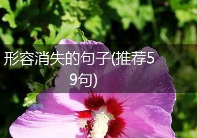 形容消失的句子(推荐59句)