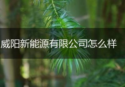 威阳新能源有限公司怎么样