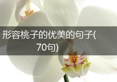 形容桃子的优美的句子(70句)
