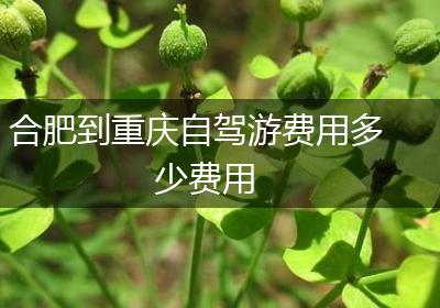 合肥到重庆自驾游费用多少费用