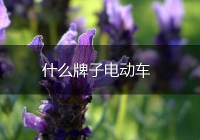 什么牌子电动车