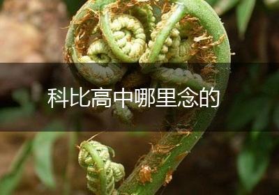 科比高中哪里念的