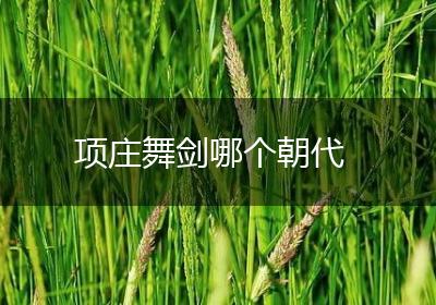 项庄舞剑哪个朝代
