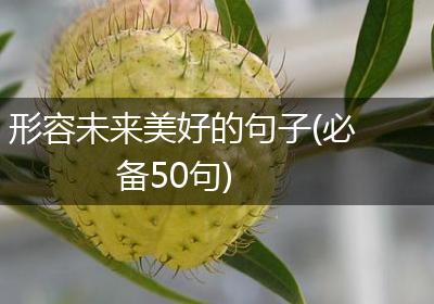 形容未来美好的句子(必备50句)