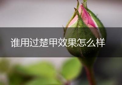 谁用过楚甲效果怎么样
