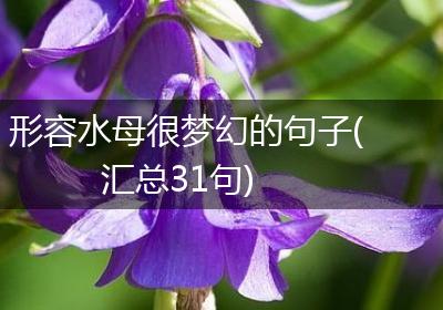 形容水母很梦幻的句子(汇总31句)