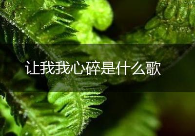 让我我心碎是什么歌