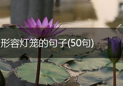 形容灯笼的句子(50句)