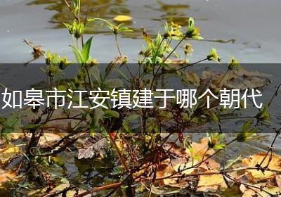 如皋市江安镇建于哪个朝代