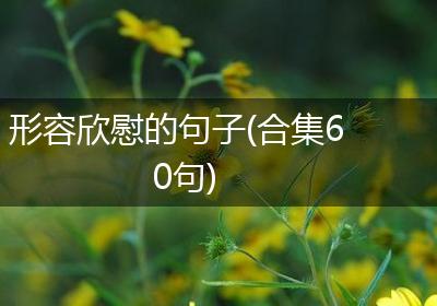 形容欣慰的句子(合集60句)