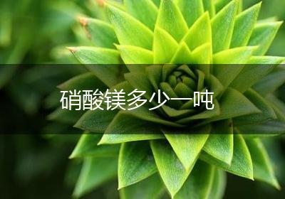 硝酸镁多少一吨