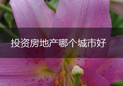 投资房地产哪个城市好